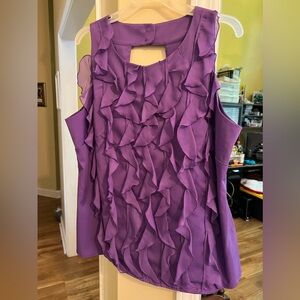 Beautiful Cato Blouse, NWT